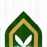 Favicon Campo Verde