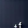 Campo Verde su Facebook